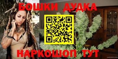 шишки Лесосибирск