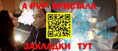 шишки Лесосибирск