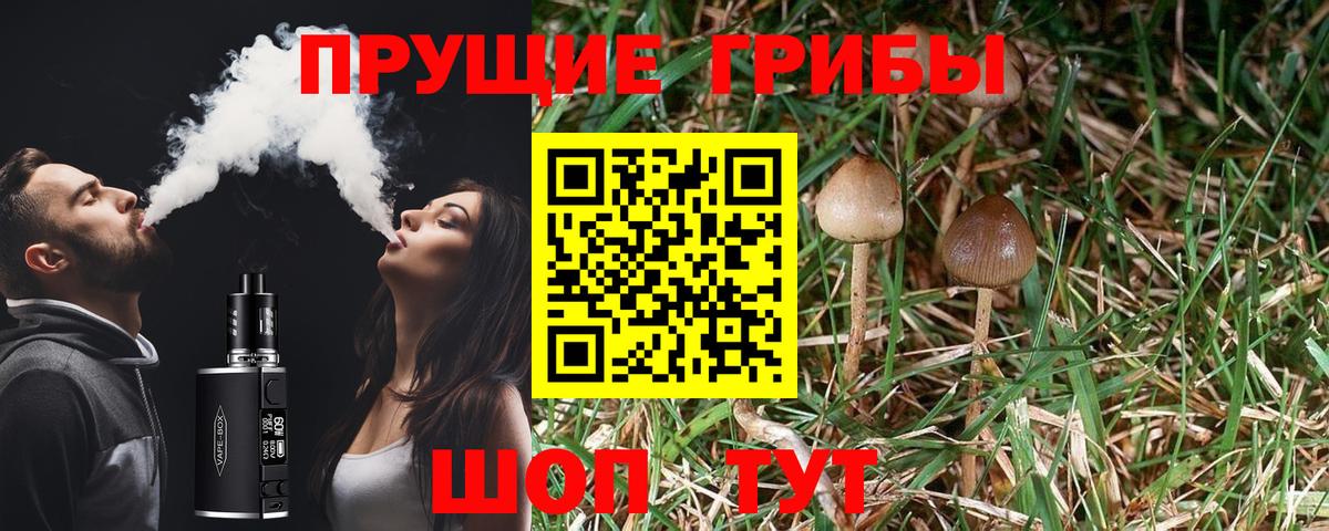 закладка  Галлюциногенные грибы Psilocybine cubensis  Вход с VPN  Коломна 